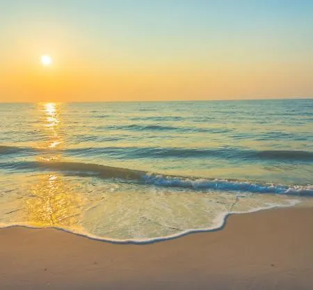 Maxim Premium דירה