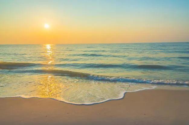 Maxim Premium Apartment